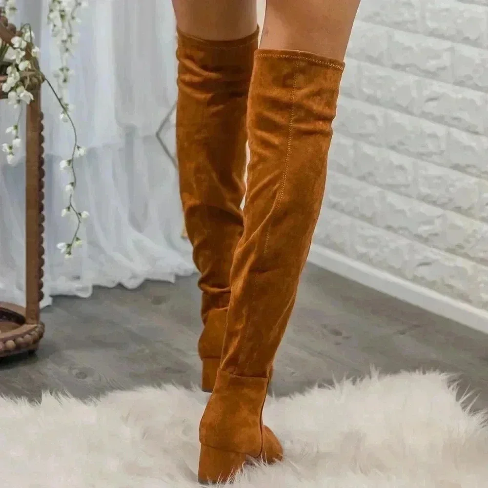 Pointed toe knee high boots